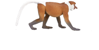 Mojo Jouet Wildlife Proboscis Monkey - 387176-2
