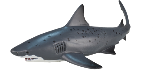Mojo Jouet Sealife Requin Taureau - 387270-2
