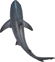 Mojo Sealife speelgoed Stierhaai - 387270