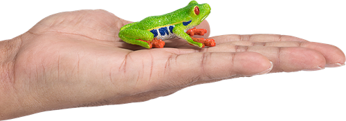 Mojo Wildlife Spielzeug Rotaugenlaubfrosch - 387299-3