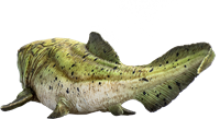 Mojo jouet dinosaure Dunkleosteus - 387374-3