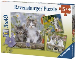 Puzzel 3x49 stukjes Katten
