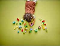 LEGO DUPLO Blumen Bauset kreativer Blumengarten 10444 Kleinkindspielzeug-3