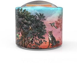 Belle Lurette boîte à musique Pierre et le Loup - Brilly006 - multicolore