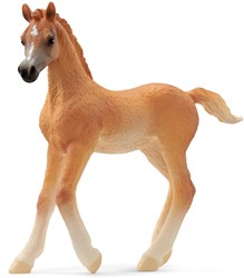 Schleich 13984 Arabisch veulen