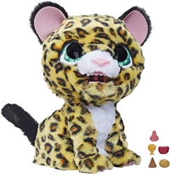 FRF Lolly, meine Leopardin