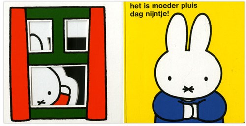 kiekeboe! wie is daar, nijntje?-3
