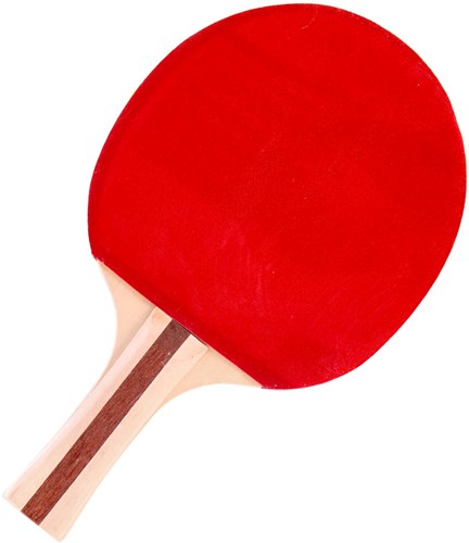 Alert Sport Tafeltennis Bat (2 Sterren)-2