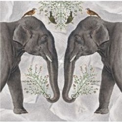 Kaart+envelop Indian Olifant. 16x16 cm