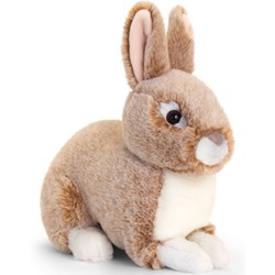 Lapins