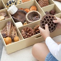 Guidecraft Loose Parts Stackable Tray - Poly+-2