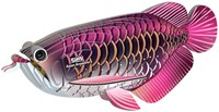 Eugy puzzle 3D poisson-dragon carton jouet écologique