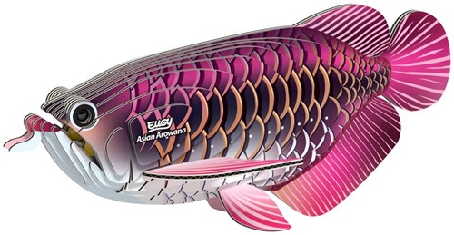 Eugy puzzle 3D poisson-dragon carton jouet écologique