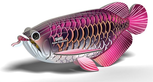 Eugy puzzle 3D poisson-dragon carton jouet écologique-2