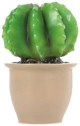 Egmont Toys Heico lampe Cactus dans pot de fleurs 27x16.5 cm