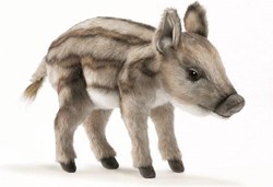 Animaux de la forêt 