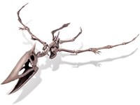 4M Graaf Je Dino Op - Pteranodon-3