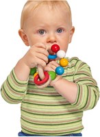 Eichhorn anneau de dentition bébé bois 3D jouet sensoriel FSC bois-3