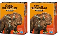 4M KidzLabs Dinosaurier Ausgrabungsset Triceratops Lernspielzeug
