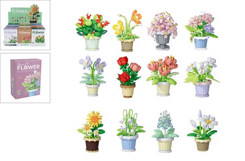 Bouwstenen plant in pot 12ass 105-365dlg
