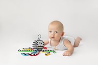 Mom's Care Babyspielzeug schwarz-weißer Oktopus mit Clip und Glöckchen-2