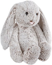 Take me Home  konijn pluche 60cm