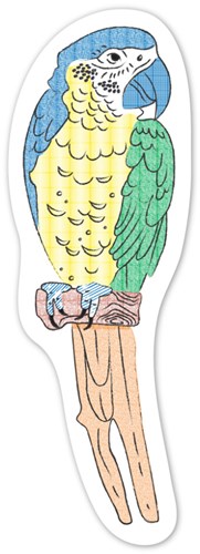 Avenir Wassermalerei Spielzeug - Kreatives Vogel Malset für Kinder-2