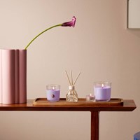 Bolsius bougie parfumée verre parfumé Oud Wood ambiance luxe 80h de combustion-2