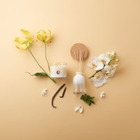 Bâtonnets parfumés Bolsius Vanilla Delight 80 ml - parfum d'intérieur longue durée-3