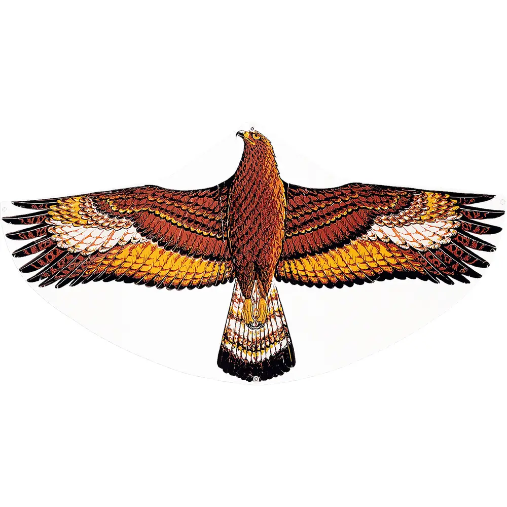 Einleinerdrachen Steinadler 112x68cm