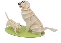 FRIDOLIN 3D-Papiermodell - Golden Retriever