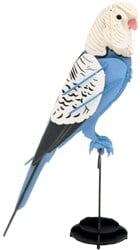 FRIDOLIN 3D-Papiermodell - Wellensittich