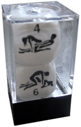 HOT Games Kama Sutra Würfel - Mehrfarbig - 2 Stück - 22mm
