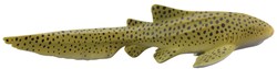COLLECTA Zebrahai - (M)