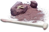 4M déterre-ton-dinosaure coffret jouet archéologie fossile dinosaure-3