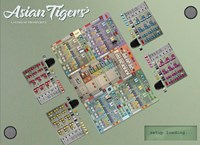 HOT Exclusive Brettspiel Asian Tigers Strategie und Wirtschaftsspiel-2
