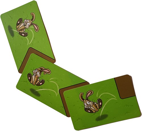 Boosterbox Lernspiel Run Bunny Run - buntes Kartonspielzeug-2