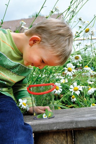 Eduplay Becherlupe - Lernspielzeug Natur entdecken für Kinder-2
