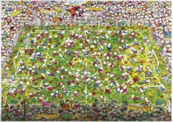 Heye Puzzle Crazy World Cup4000