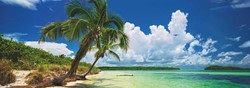 Heye Puzzle Puzz.Paradise Palm 2000 Pa.