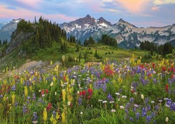 Heye Puzzle Puz. Tatoosh Mountain 2000