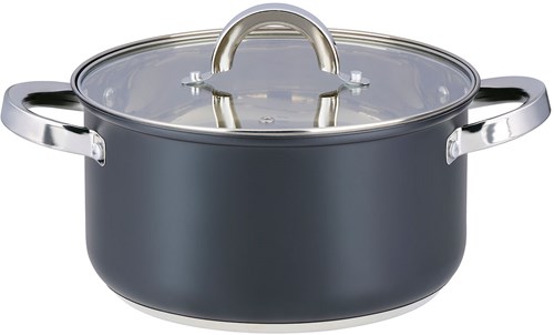 Alpina Kochtopf Induktion mit Glasdeckel 22cm 4,7L - Edelstahl Topf