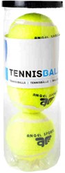 Tennisballen 3 stuks in koker
