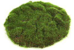 Countryfield disque de mousse jouet éducatif vert 22x22x2cm carton