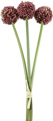 Countryfield Kunstblume Dekoration Allium sativum fuchsia 55cm bunt