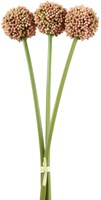 Countryfield Kunstblume Dekoration Allium sativum rosa 55cm Kunstpflanze