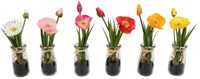 Countryfield Kunstblume Mohn Spielzeug Dekoration Vase Mehrfarbig