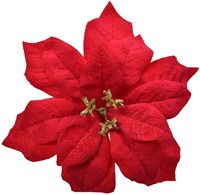 Bloem Poinsettia Velvet op clip 16cm - Rood