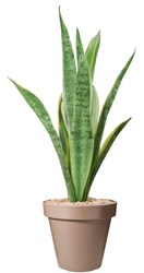 OttoSimon pot de fleurs plastique rond 40cm moka jardinière jardin