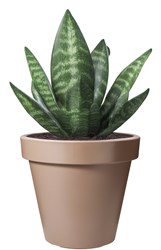 OttoSimon pot de fleurs plastique moka brun rond 25cm jardinière jardin